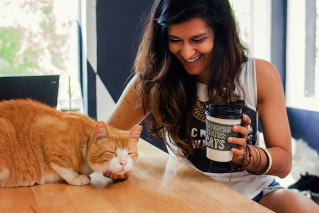 cat cafe crumb whiskers feature
