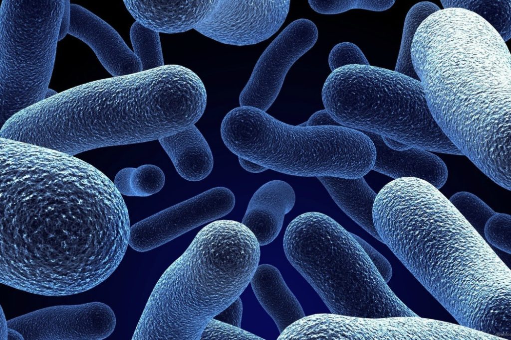 probiotic products feature