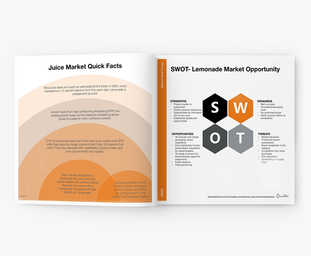 product development apricot lane farms lemonade research strategy