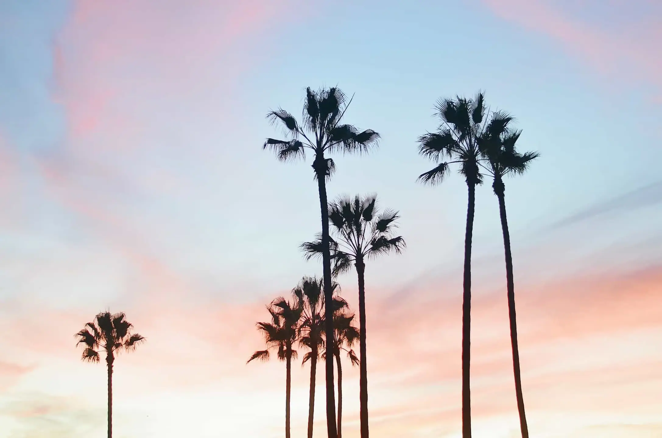 brandettes cpg consumer products marketing los angeles global