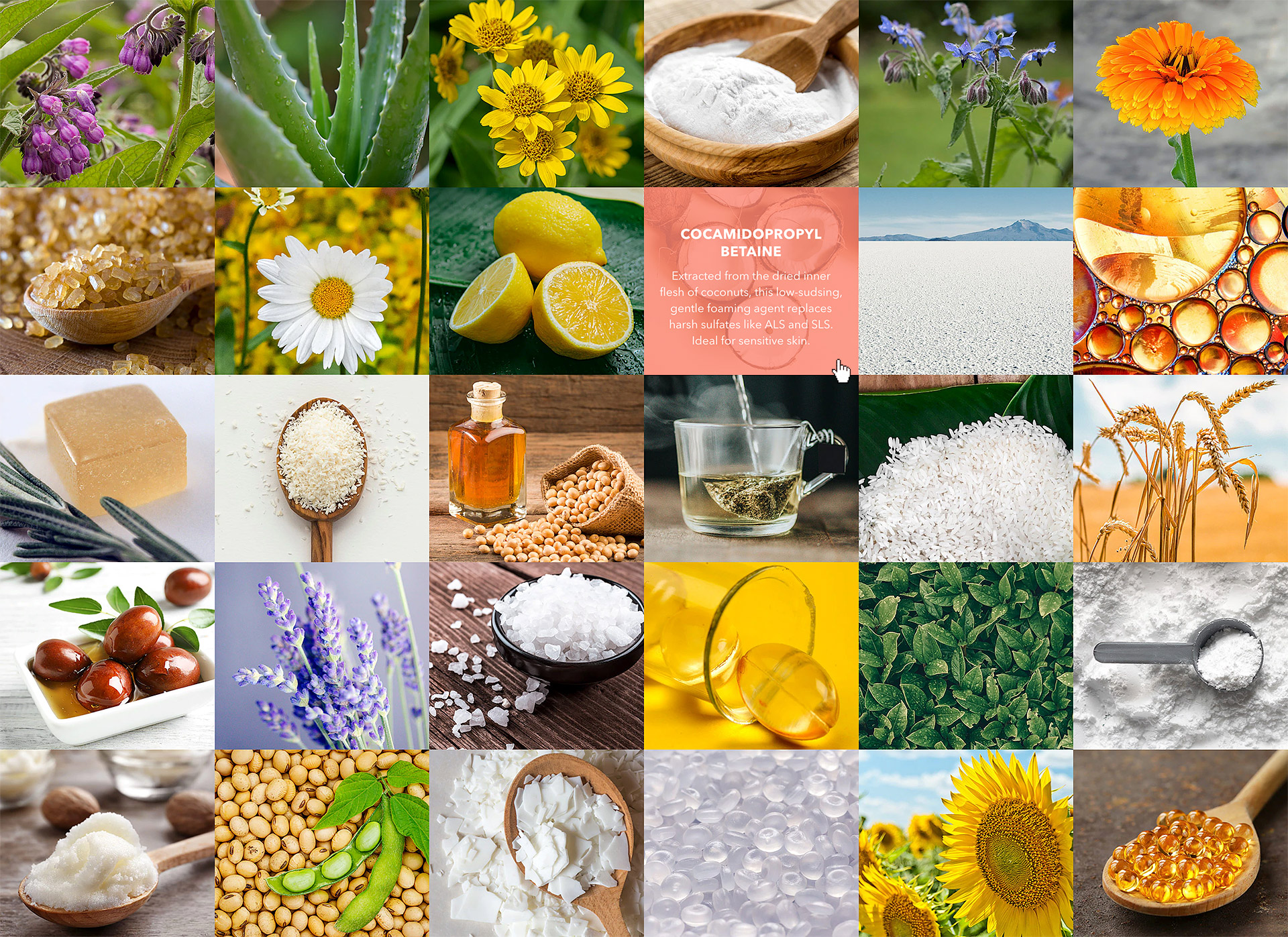 dani natural website interactive ingredient selector